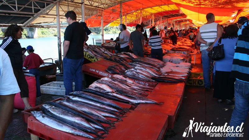 Mercado Fluvial de Valdivia