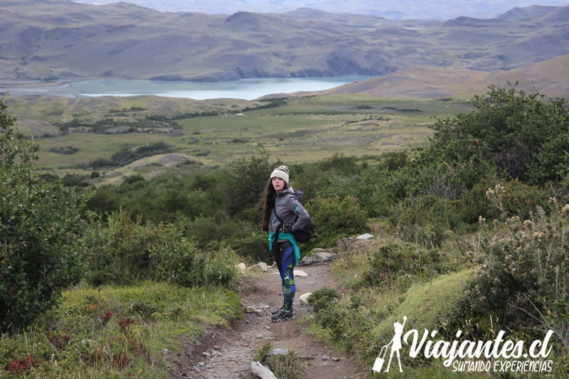 Vista del Parque Torres del Paine
