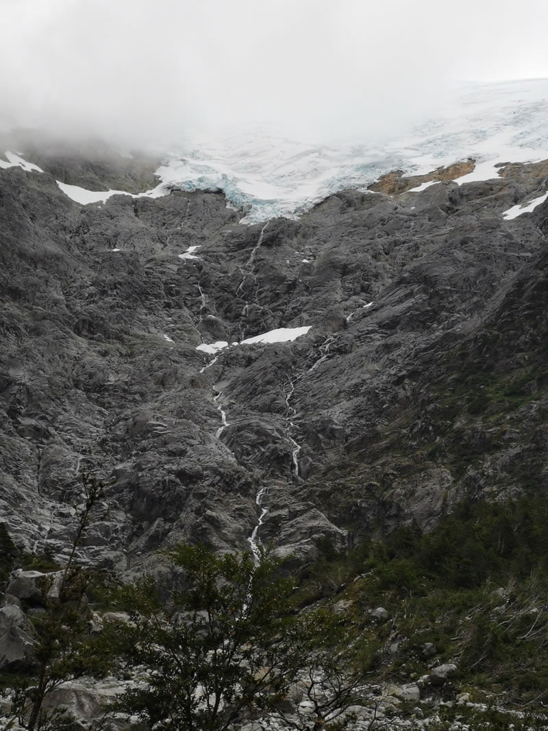 Glaciar Bosque encantado Ventisquero