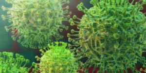 COVID 19 Coronavirus