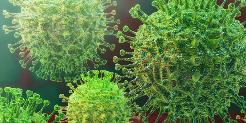COVID 19 Coronavirus
