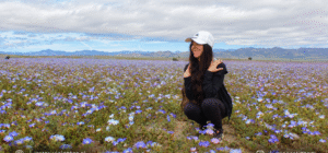 Desierto Florido 2026 en el Parque Nacional Llanos de Challe