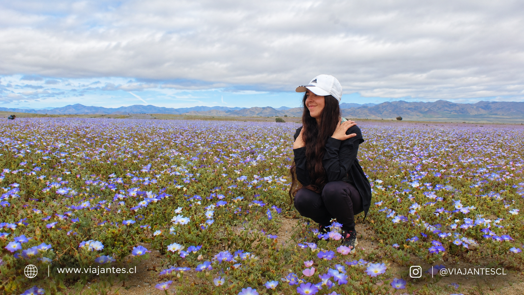 Desierto Florido 2026 en el Parque Nacional Llanos de Challe