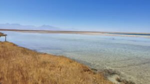 Laguna Cejar