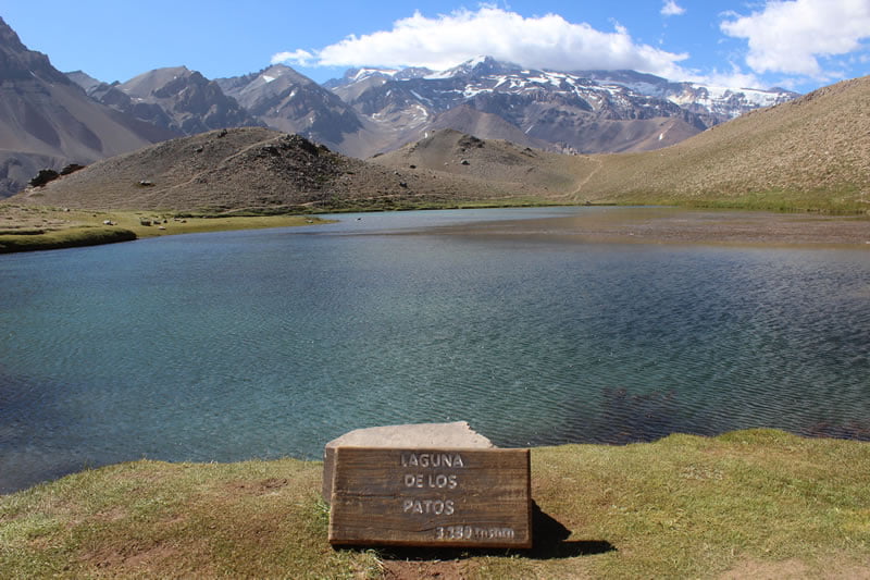 Laguna de Los Patos