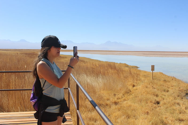 Mirador Laguna Cejar